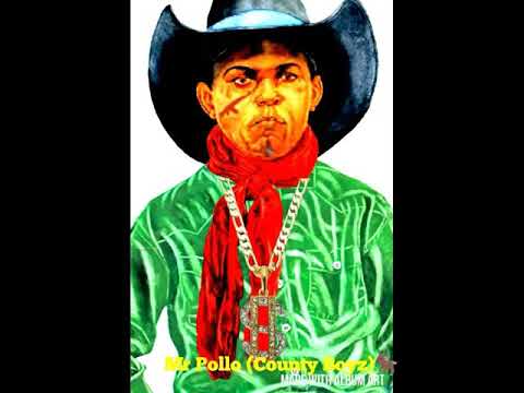 Mr Pollo (County boyz) official audio
