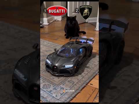 Lamborghini Egoista ма, Bugatti Bolide ме? 😳☝️🔥 #рек #rek