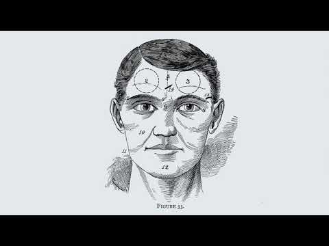 All Light, Everywhere trailer