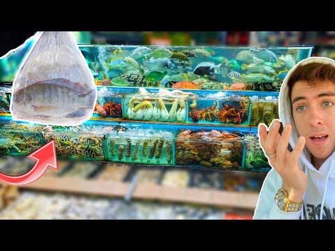 download lagu mp3 mp4 Finatics Com, download lagu Finatics Com gratis, unduh video klip Finatics Com