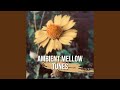 Ambient Sound To Recharge Your Soul Nature Sounds