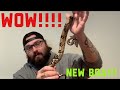 Columbian Redtail Boa!!! Update on older snakes and More!