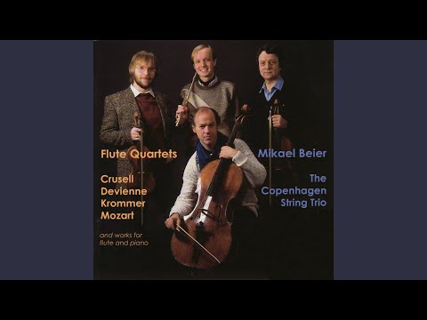 Flute Quartet in D Major, Op. 8: I. Allegro non tanto