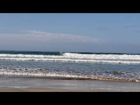 Galapagos isabela surf 2020