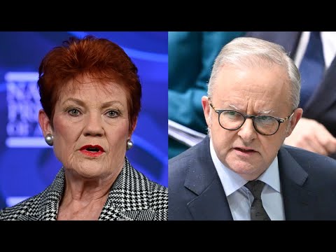 Pauline Hanson discusses Labor's federal budget at the National Press Club