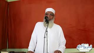 صورة صدق الشباب | الشيخ شوقي عبد الصادق