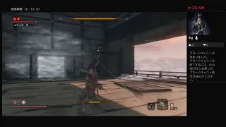 のんびりSEKIRO