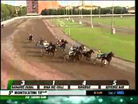 03/10/2013, Montecatini , Premio Lubro Gim C.naz.