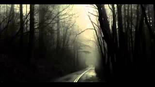 In The Woods... - Pigeon