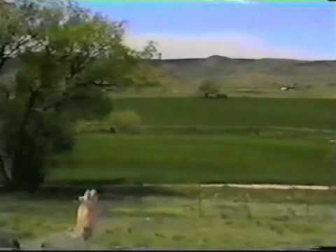 Instruction Sniper part 6