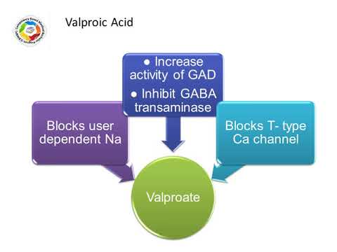 antiepileptic drugs sedative and hypnotics2020 norhan