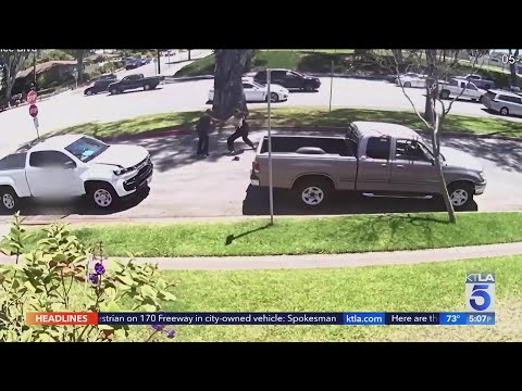 Torrance road rage leads to fistfight