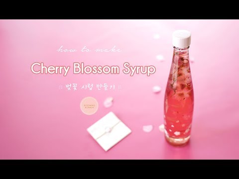download lagu mp3 mp4 Cherry Blossom Syrup, download lagu Cherry Blossom Syrup gratis, unduh video klip Cherry Blossom Syrup