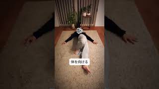 できない人はこれから🔥バズってる骨盤トレがきつい人はまずこの3つ😊