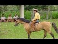 Curso Administração da Pequena Empresa Rural