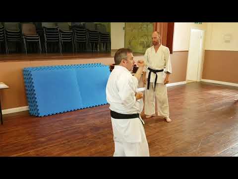 Naihanchi kata Bunkai