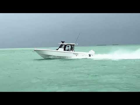 2024 Everglades 365 CC Video