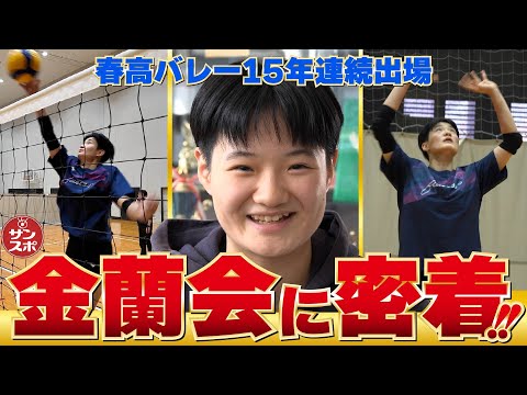 【春高バレー動画】金蘭会高校、15年連続出場！　インターハイとの2冠目指す - サンスポ