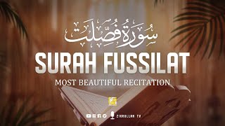 Download lagu Surah Fussilat (Ha Mim As-Sajdah) - Heart touching Quran  سورة فصلت | Zikrullah TV mp3