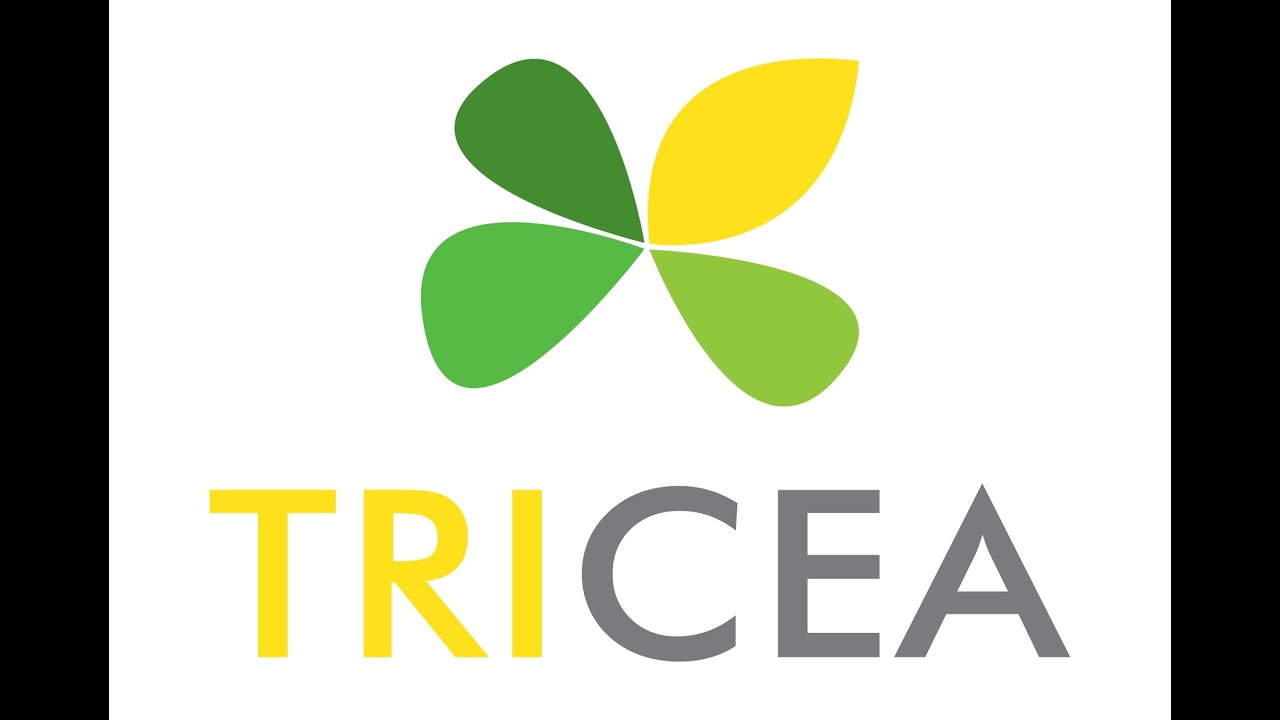 Construction du centre de tri TRICEA, pour le traitement de la poubelle jaune