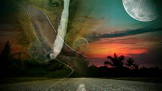 Bronco El caballo y la paloma