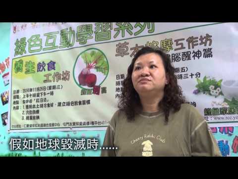 綠色的意思