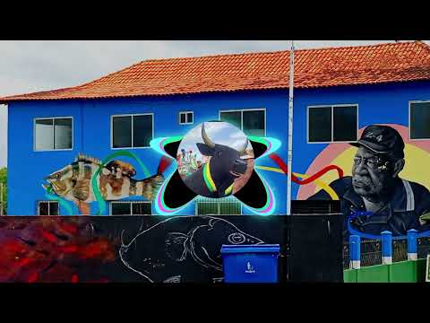 Música de boi de Máscara - Boi tinga/ Grande Mestre - Samba/ Tio Máxico - são Caetano de Odivelas 