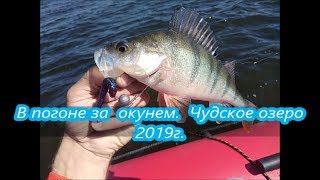 Чудское озеро отчеты о рыбалке