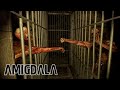 Amigdala 100 Longplay Walkthrough Subtitles 1440p