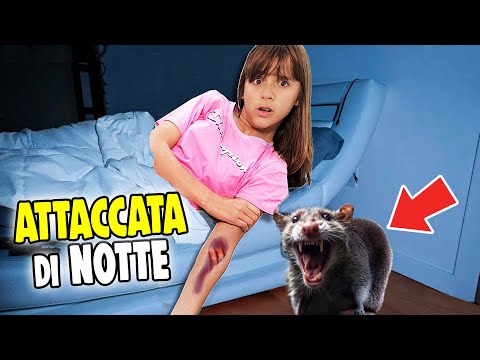 Un TOPO feroce mi ha attaccato nel cuore della notte! LETIZIA è STATA MORSA AL BRACCIO da un TOPO