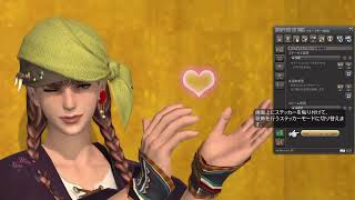 【FF14】声なしイン