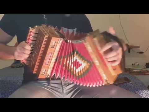 Tarantella calabrese solo organetto