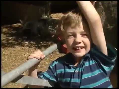 Our Pig Winnie-clip2