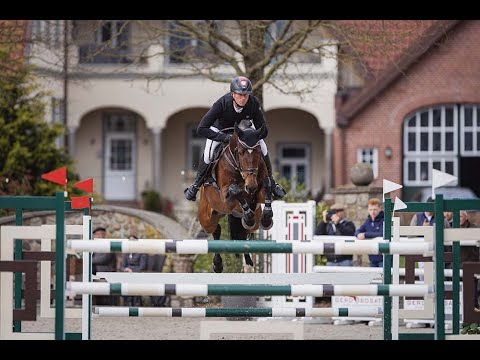Ogano *2012 by Ogano Sitte x Diarado wins 1.40m class