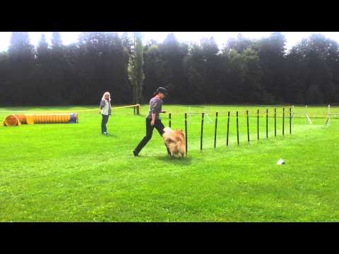 4. LM OÖ/Sbg am 15.09.2013