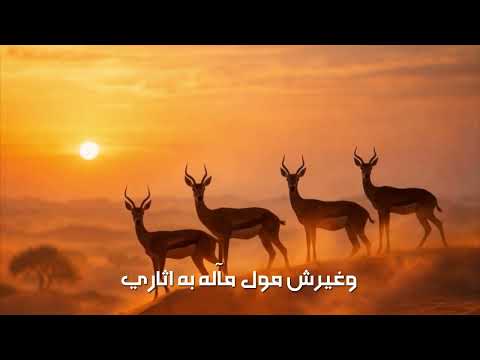يهب الريف