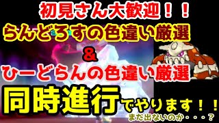 ついに色ランドロスが出た枠　ダイマックスアドベンチャー配信16000日目