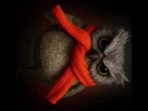 Marcz. - One Day Fire (Official Music Video)