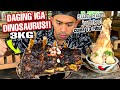 MUKBANG DAGING IGA RAKSASA 2KG DAN SUMSUM 1 KG SUPER MURAH DI JOGJA !!