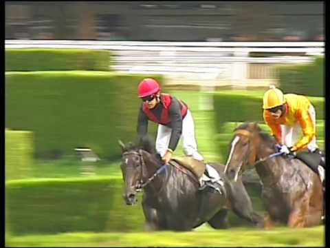 IPPODROMO DI MERANO-24.7.2016-PR.DOLOMITI PATRIMONIO UNESCO