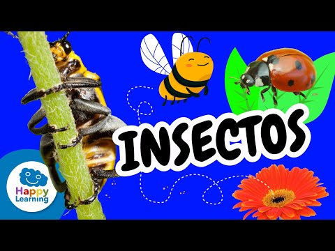 Curiosidades de los INSECTOS y su Papel en la Naturaleza 🌍 | @HappyLearningES