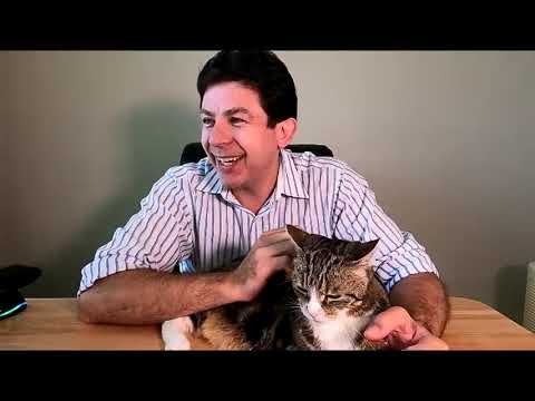 Cats and Kidney disease LIVE Q&A