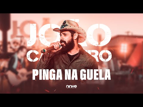 João Carreiro - Pinga na guela