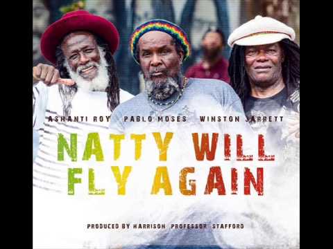 Pablo Moses - Natty Will Fly Again