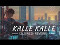 Kalle Kalle -(Slowed+reverb) | sampooran | Punjabi sad lofi | Slow_Music _443