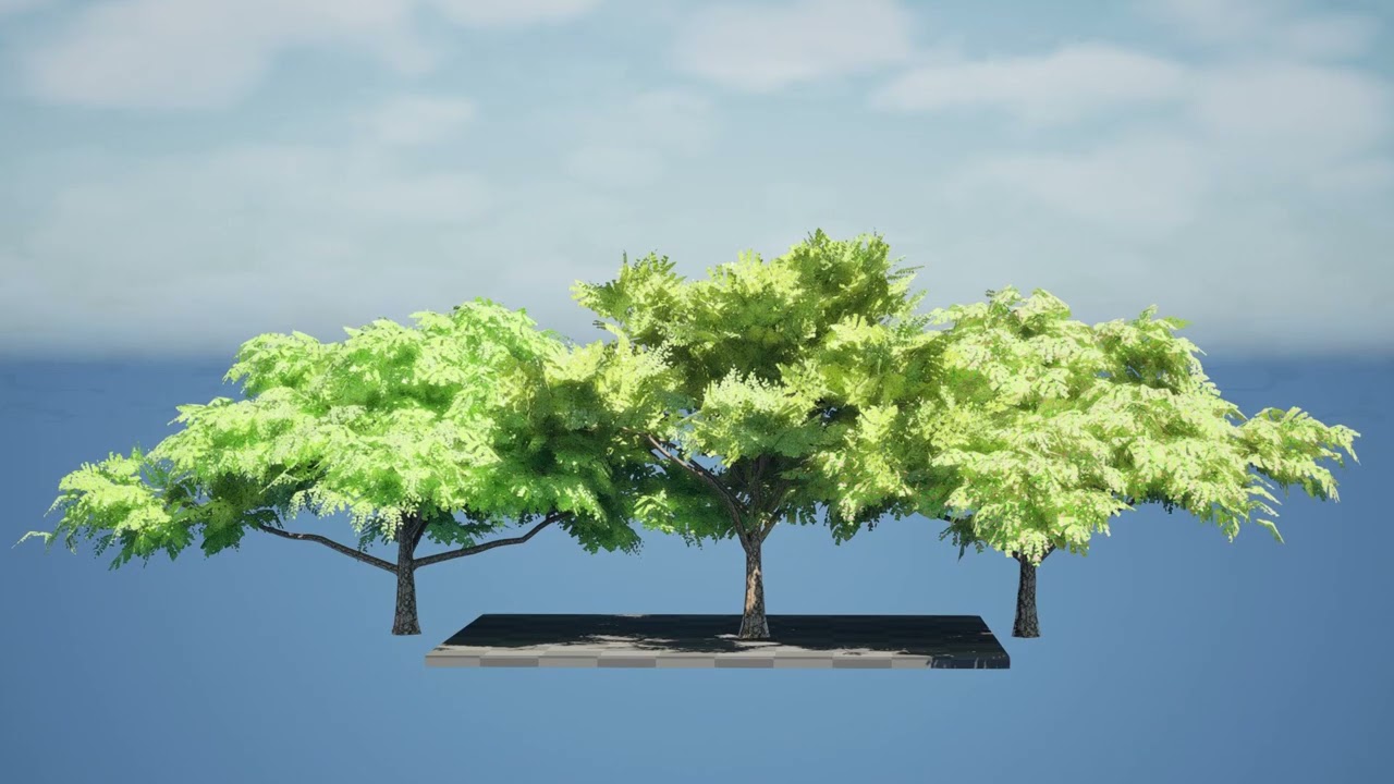 Дождевое дерево 3D Модель