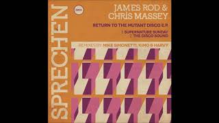 James Rod & Chris Massey - The Disco Sound (Harvy Abdurachman Remix)