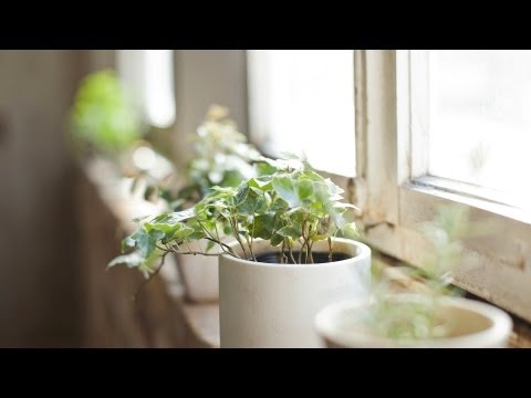 あなたの家の風水の方法｜インテリアデザイン (How to Feng Shui Your Home | Interior Design)