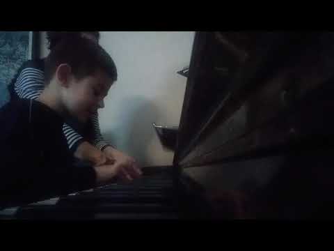 Sviranje pesme Pekarčić