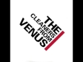 cleaners from venus 